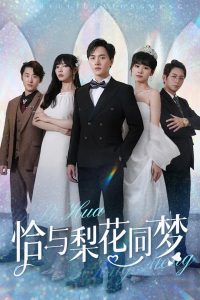 恰与梨花同梦封面图