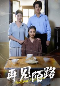 再见陌路封面图