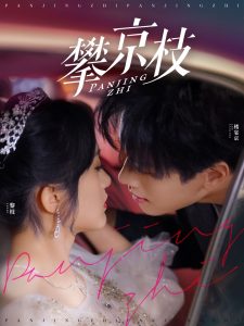 攀京枝80集封面图