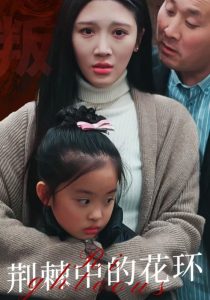 荆棘中的花环封面图