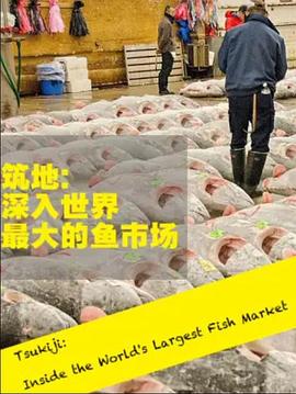 筑地深入世界上最大的鱼市场封面图