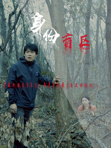 身份盲区封面图