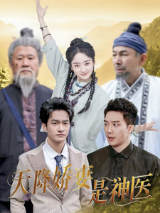 天降娇妻是神医封面图