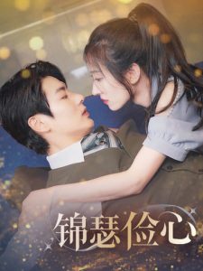 锦瑟俭心封面图