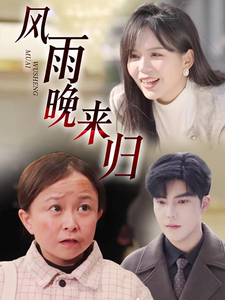 风雨晚来归封面图