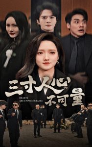 三寸人心不可量封面图