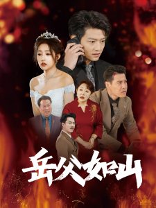 岳父如山封面图