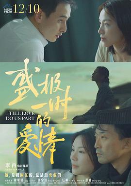 盛极一时的爱情封面图