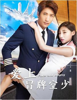 爱上冒牌空少封面图