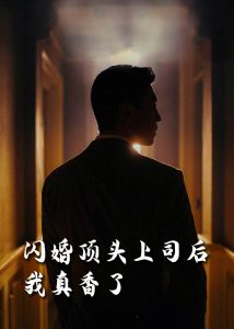 闪婚顶头上司后我真香了封面图