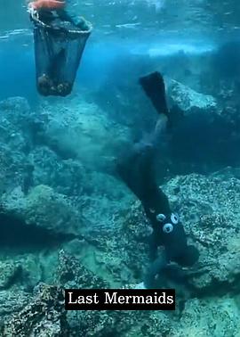 最后的美人鱼封面图
