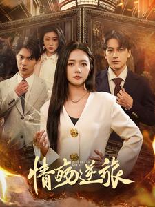 情殇逆旅封面图