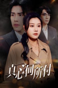 真心何所付封面图