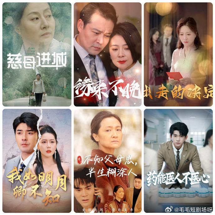 我如明月卿不知封面图