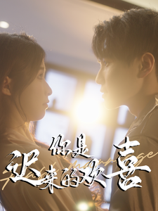 你是迟来的欢喜78集封面图