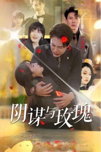 阴谋与玫瑰封面图