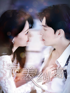 完美纠葛封面图