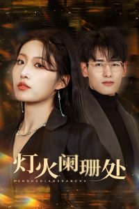 灯火阑珊处封面图