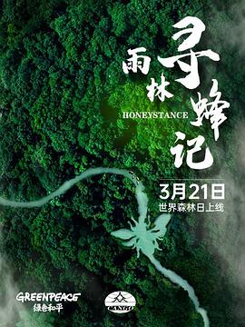 雨林寻蜂记封面图