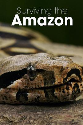 挑战亚马逊第一季封面图