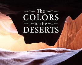 沙漠的颜色封面图