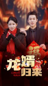 龙婿归来封面图