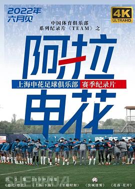 阿拉申花封面图