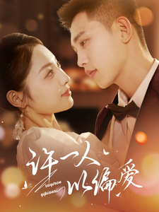 许一人以偏爱封面图