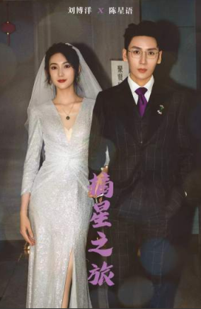 摘星之旅封面图