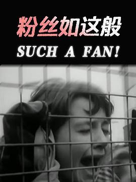 粉丝如这般封面图