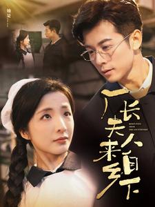 厂长夫人来自乡下封面图