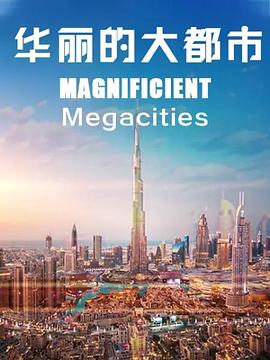 MagnificentMegacities封面图