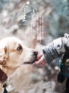 今生，请多指教第三季封面图