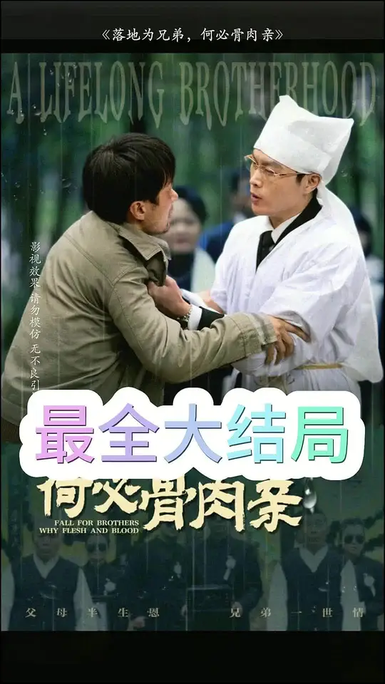 落地为兄弟，何必骨肉亲封面图