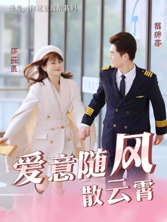 爱意随风散云霄封面图