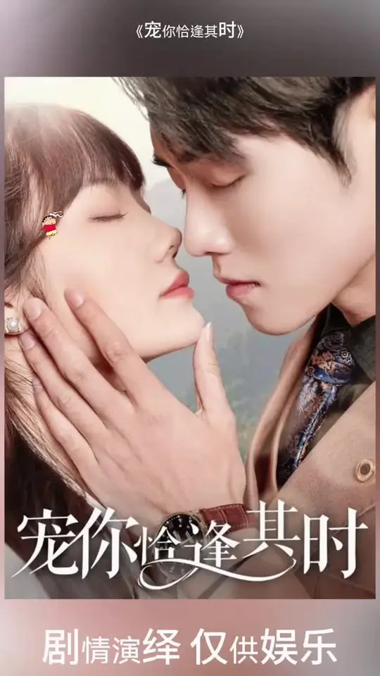 宠你恰逢其时封面图