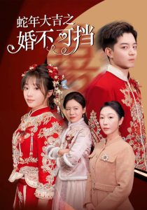 蛇年大吉之婚不可挡封面图