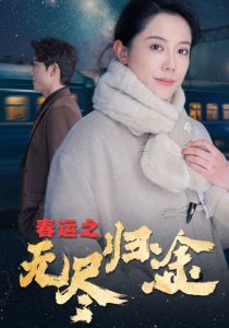 春运之无尽归途封面图
