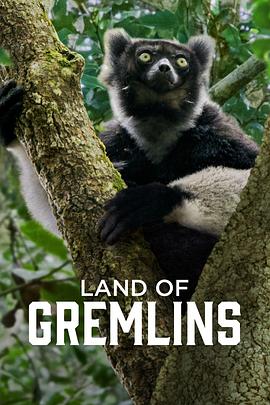 精灵乐园第一季封面图