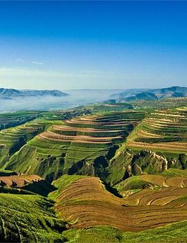 黄土大塬封面图