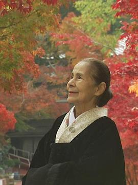 茶道之旅封面图