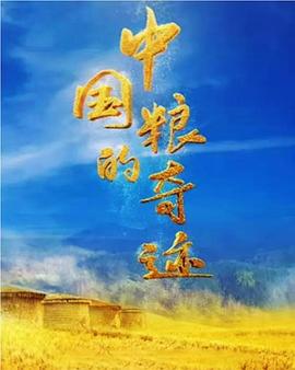 中国粮的奇迹封面图