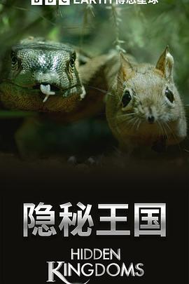 隐秘王国封面图