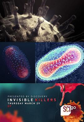 隐形杀手封面图