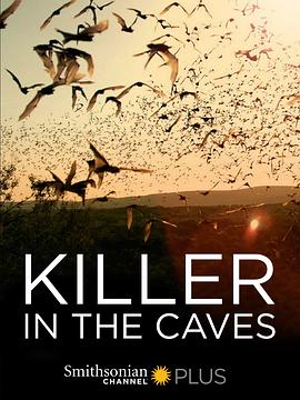 穴中杀手封面图