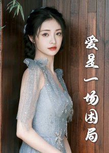 爱是一场困局30集封面图