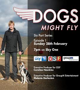 狗狗也许会飞封面图