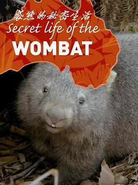 袋熊的秘密生活封面图