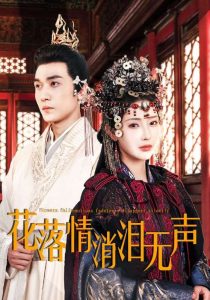 花落情消泪无声封面图