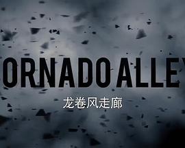 龙卷风走廊第二季封面图